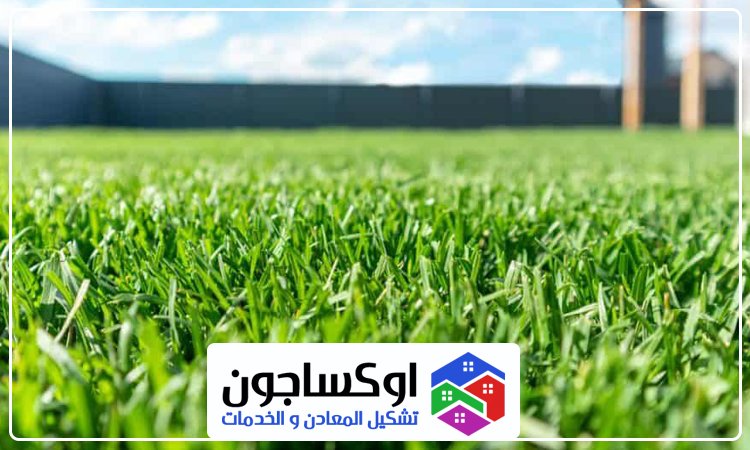 تركيب عشب صناعي في ام القيوين 5 تركيب عشب صناعي في ام القيوين